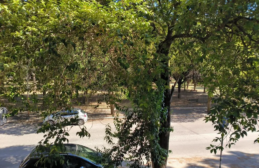 Balcone sul parco-1